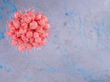 virusul herpes genital recurent